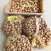 Encephalartos peniceps seeds